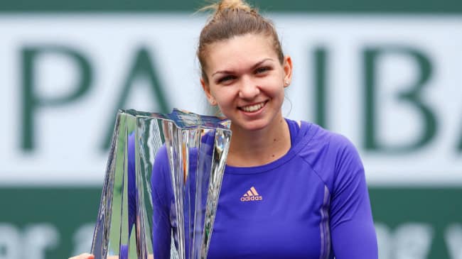 Novotna critica, Halep risponde