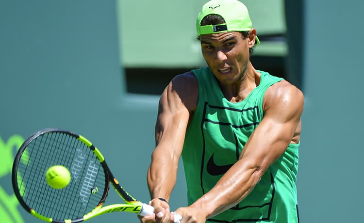 Masters 1000 Monte-Carlo: un uccello ferma Nadal-Edmund (VIDEO)