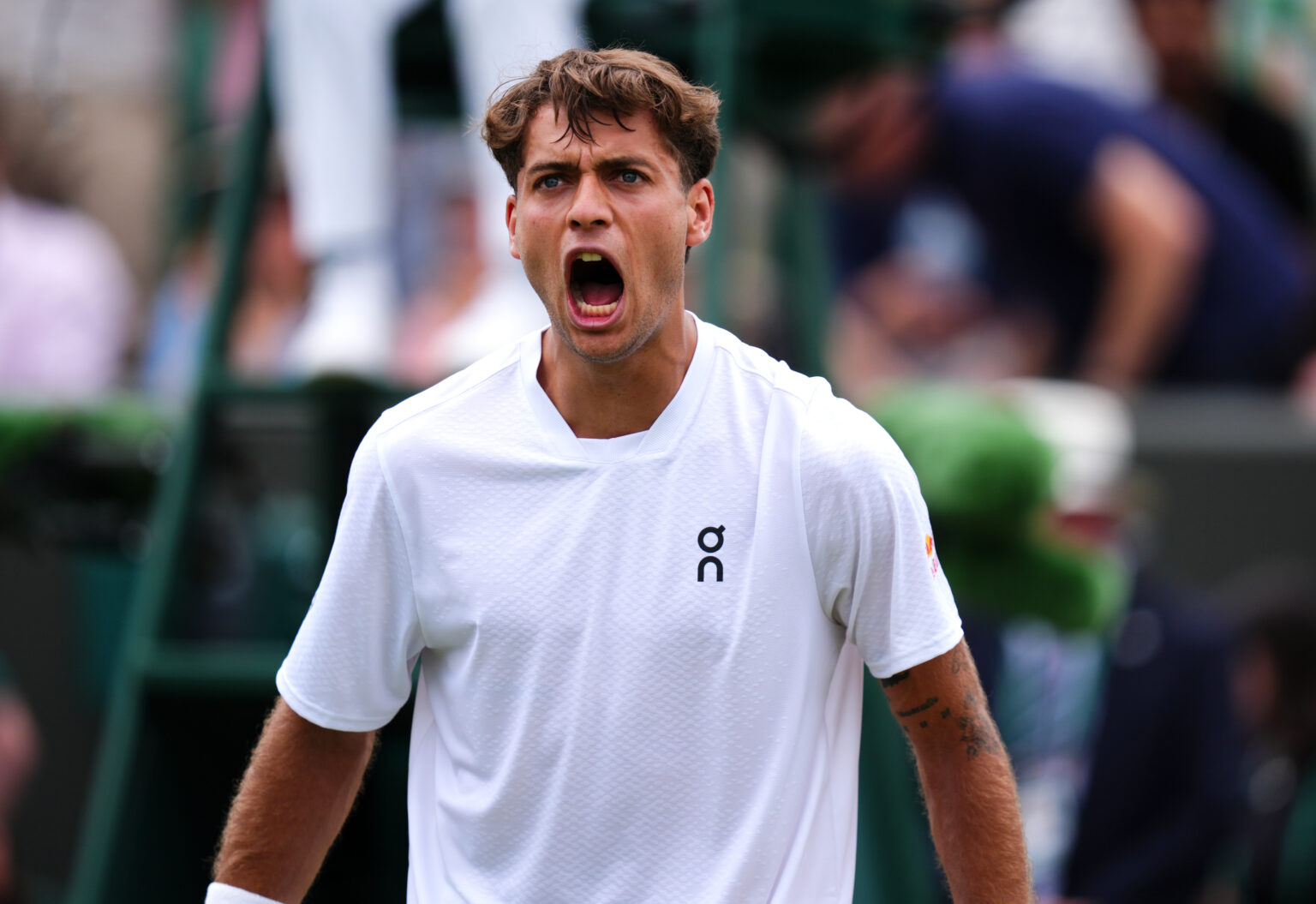 Flavio Cobolli a Wimbledon 2026
